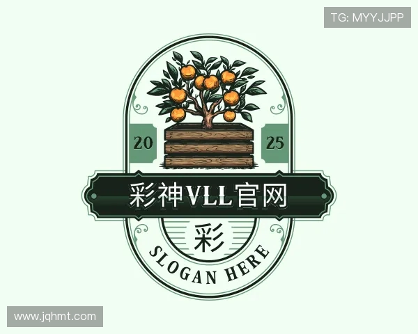 解读彩神vll